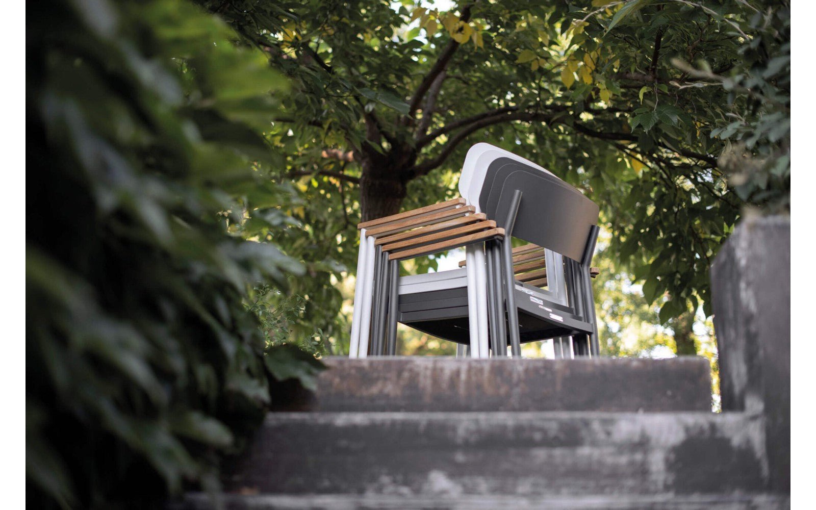 Eden Outdoor Chair